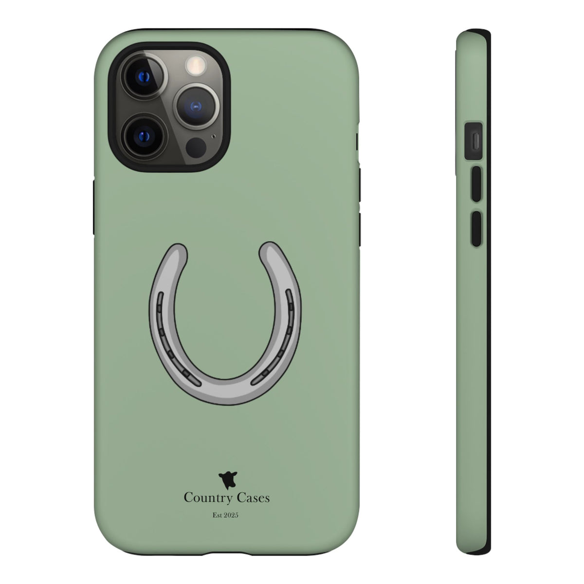 Horse Shoe Case