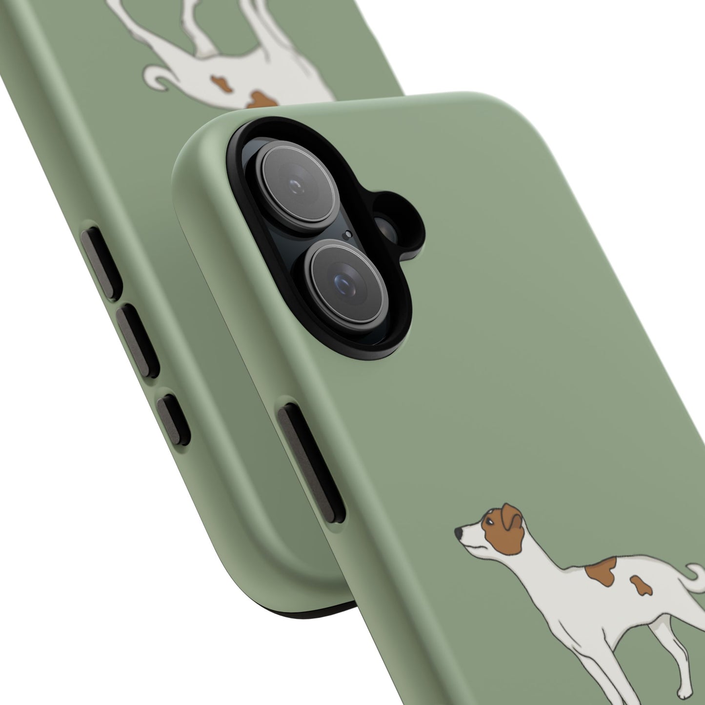 Jack Russell terrier case