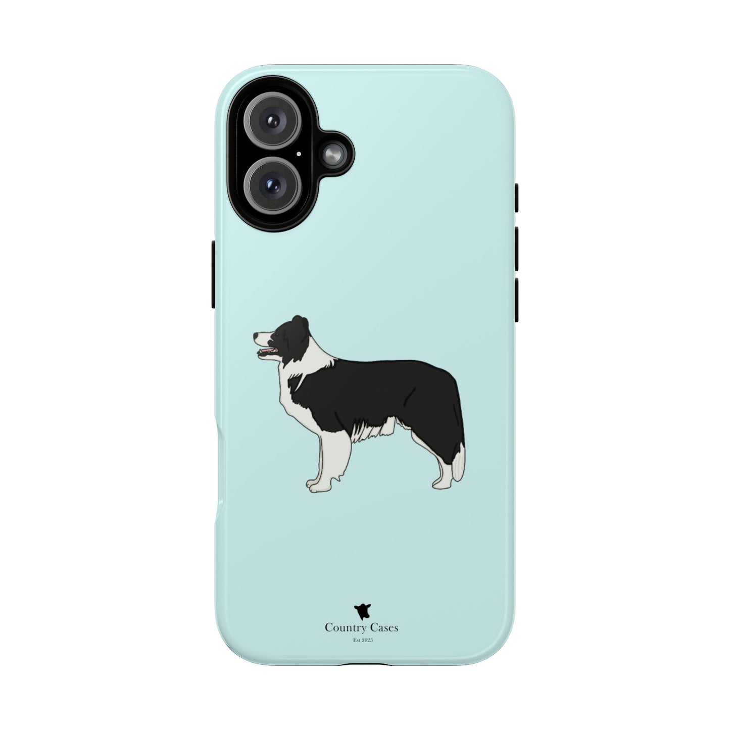 Collie case