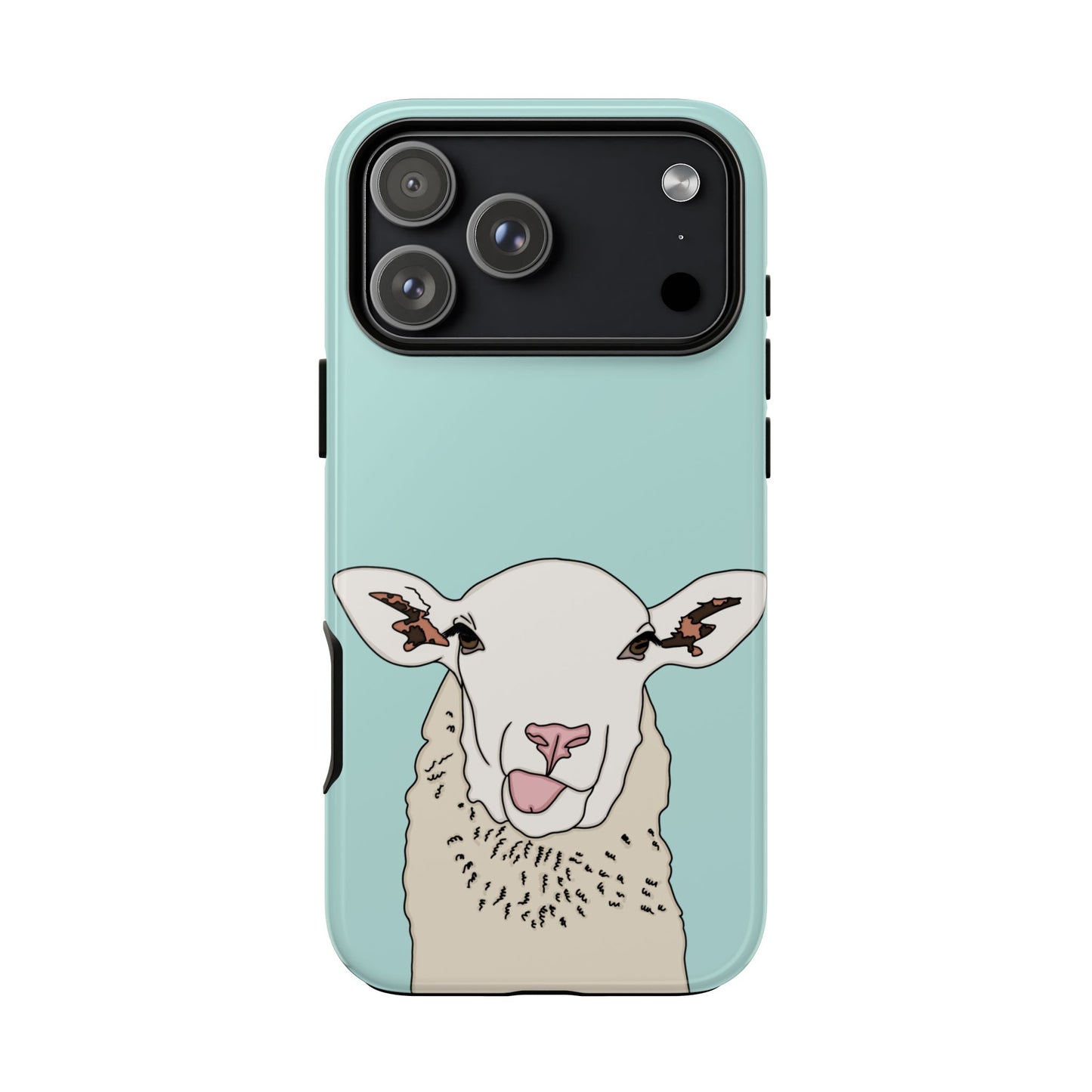Silly sheep case