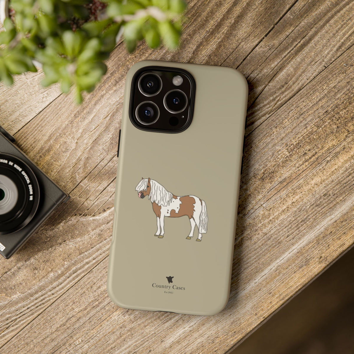 Shetland Pony Case