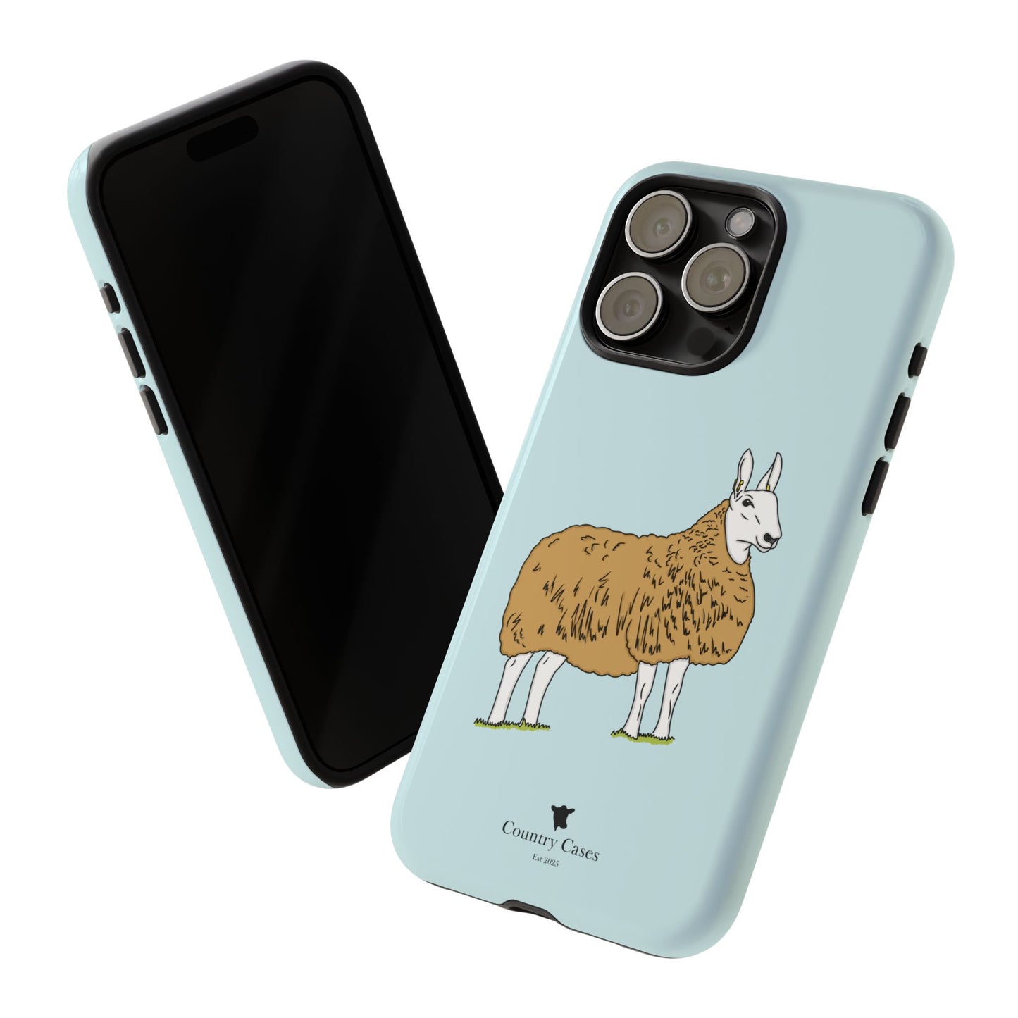 Border Leicester case