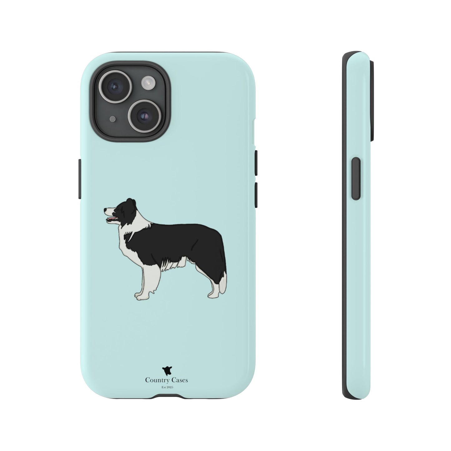 Collie case