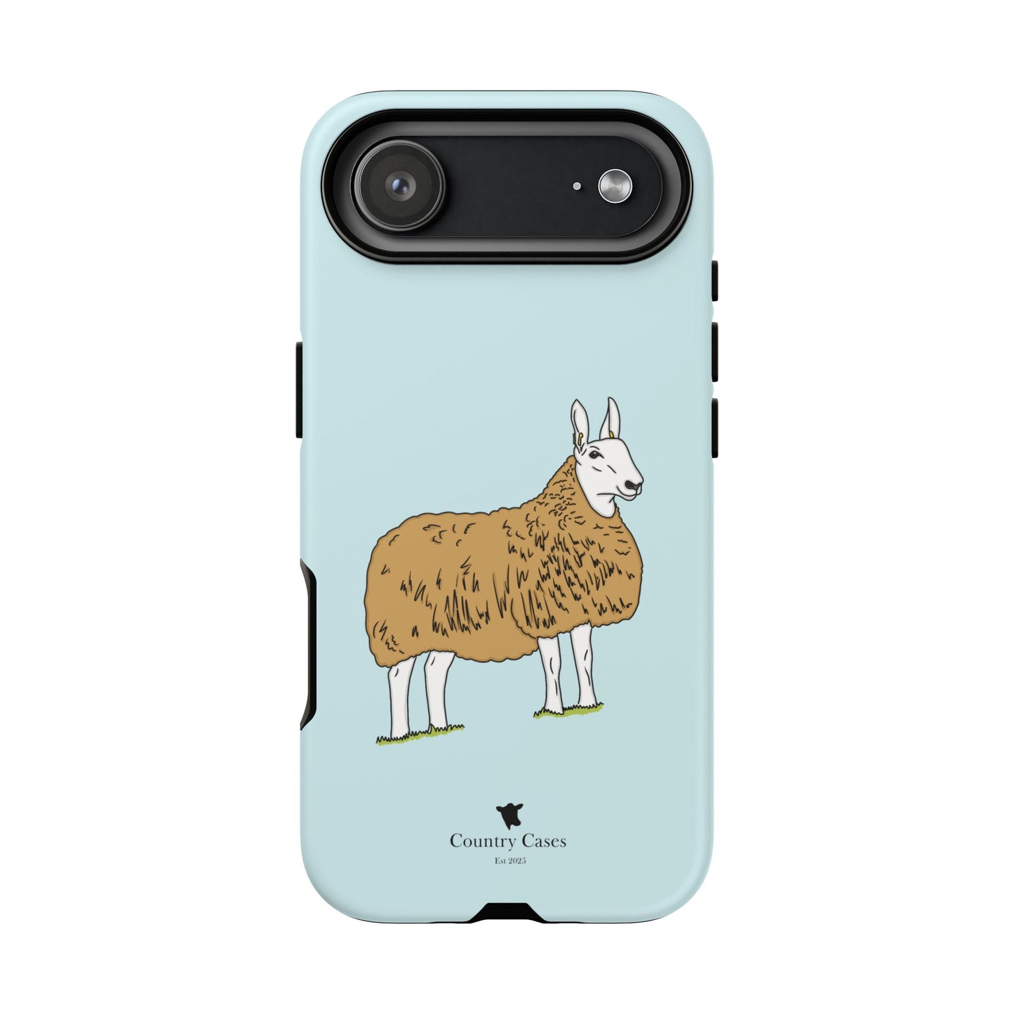 Border Leicester case