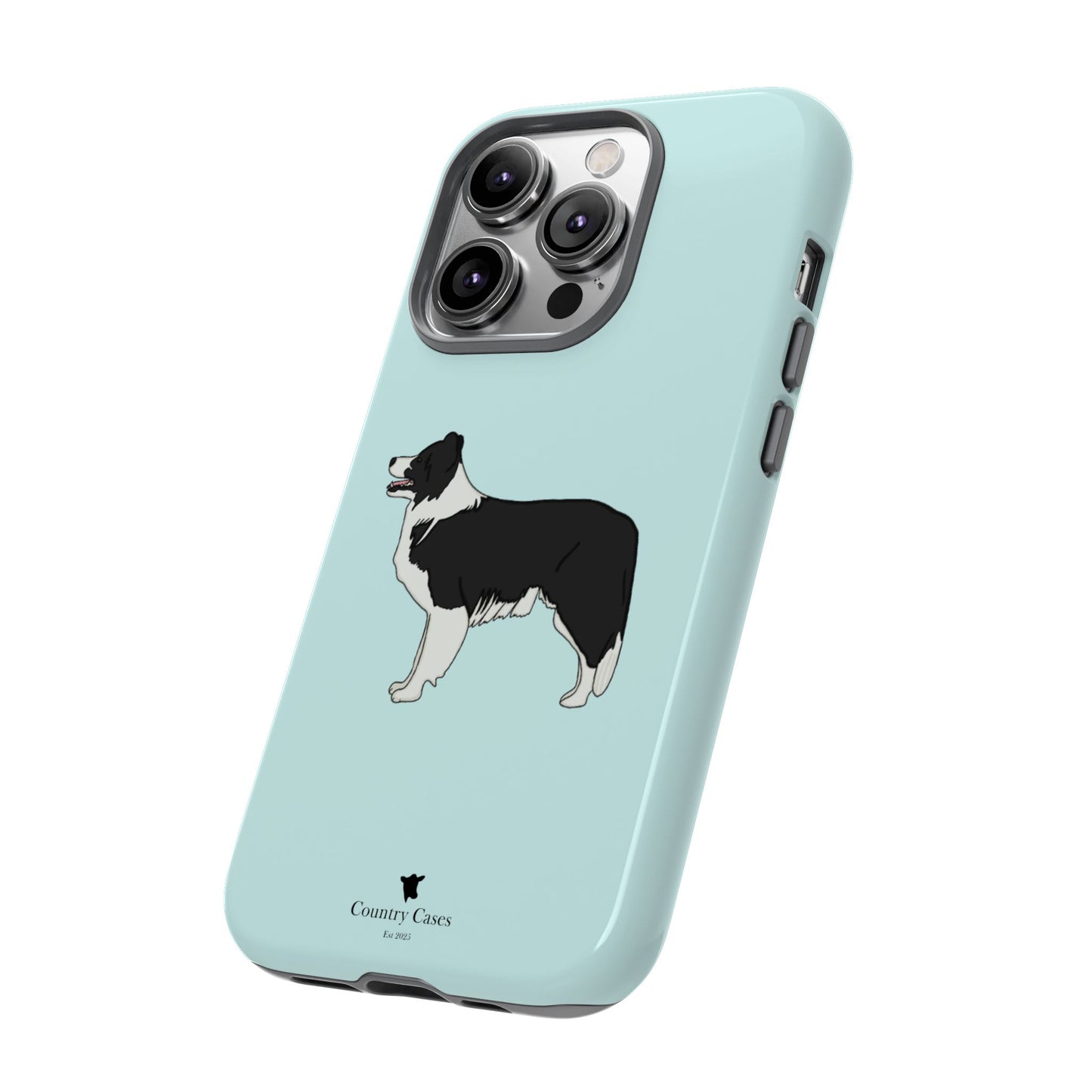 Collie case