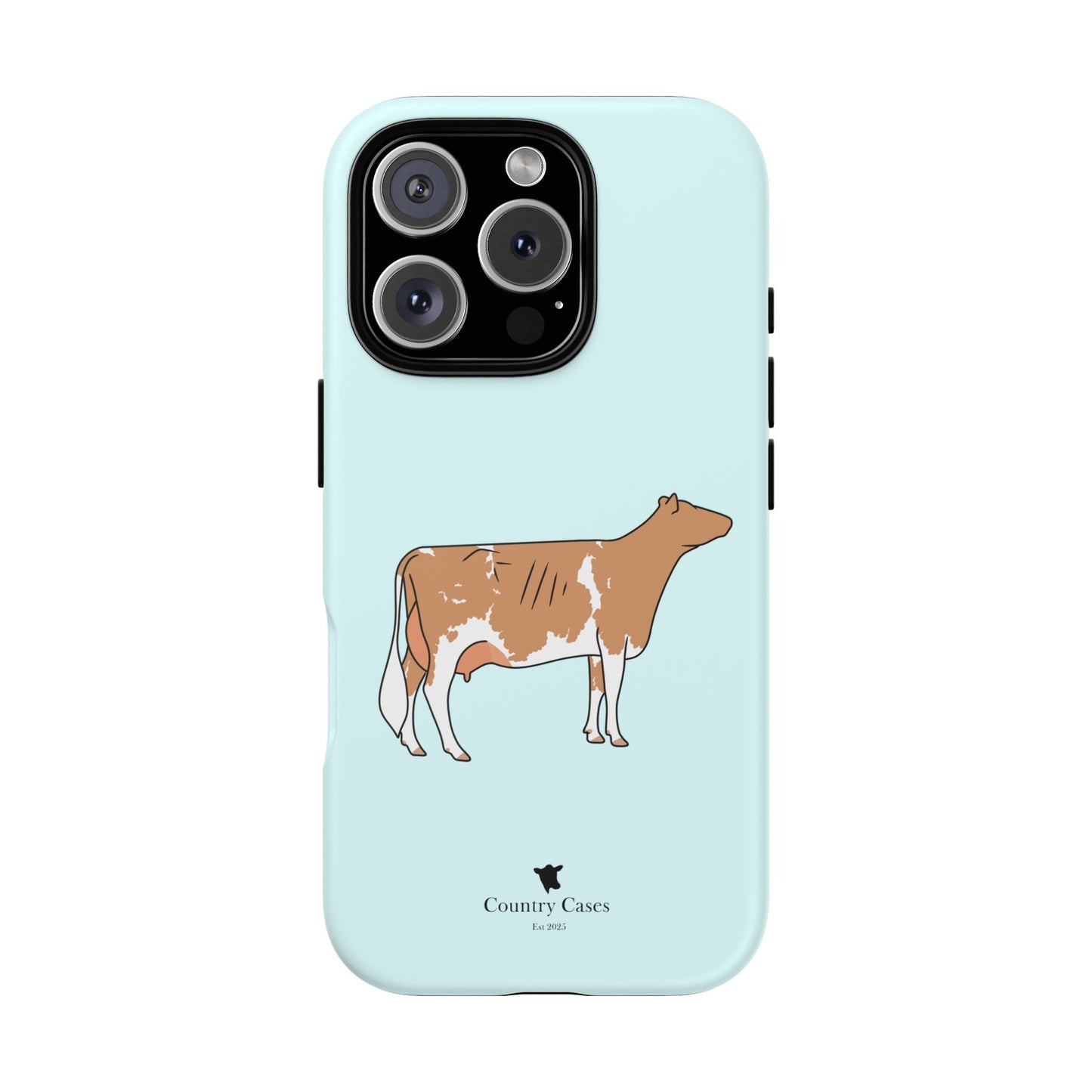 Gurnsey case