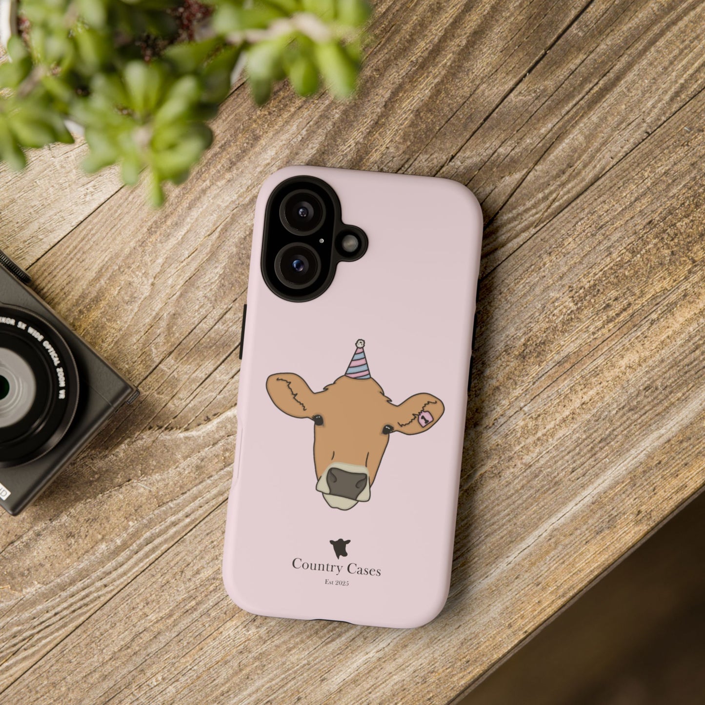 Pink Birthday Case