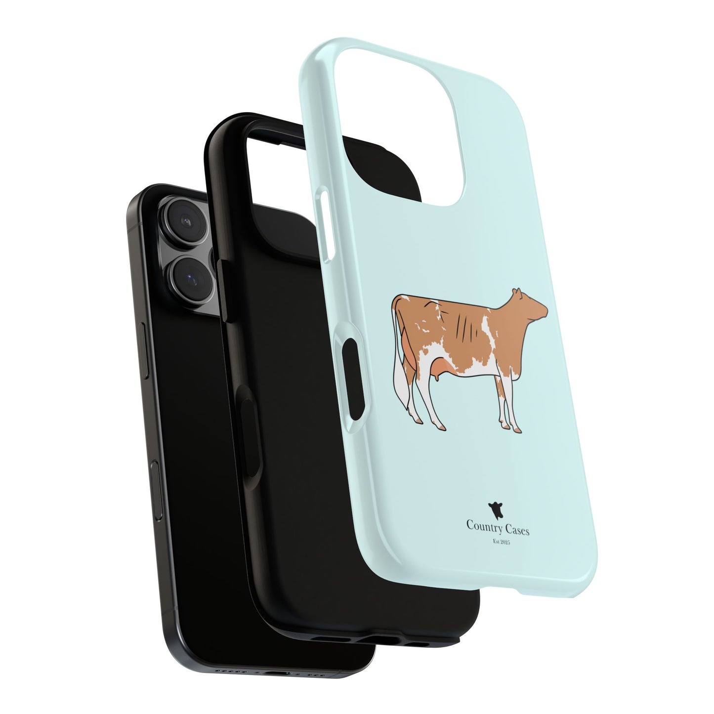 Gurnsey case