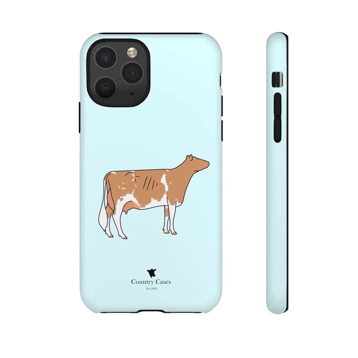 Gurnsey case