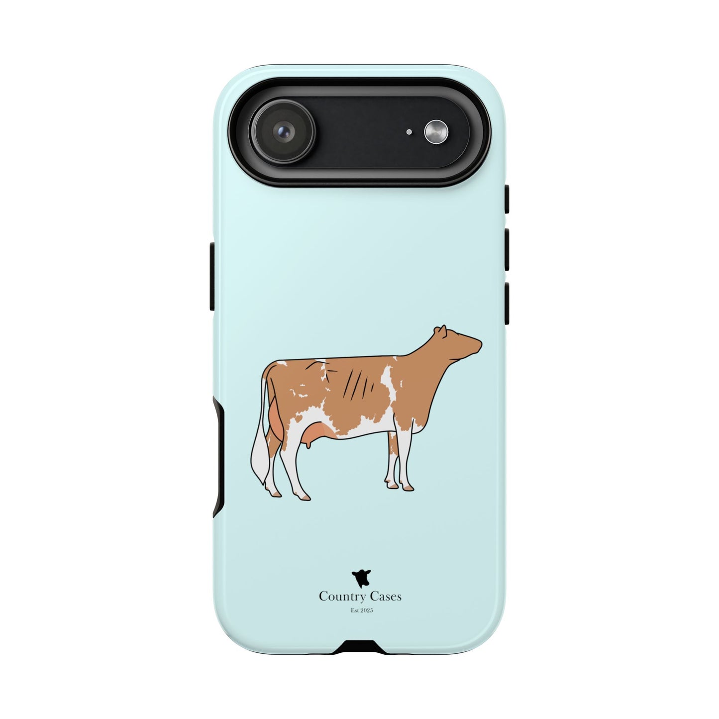 Gurnsey case