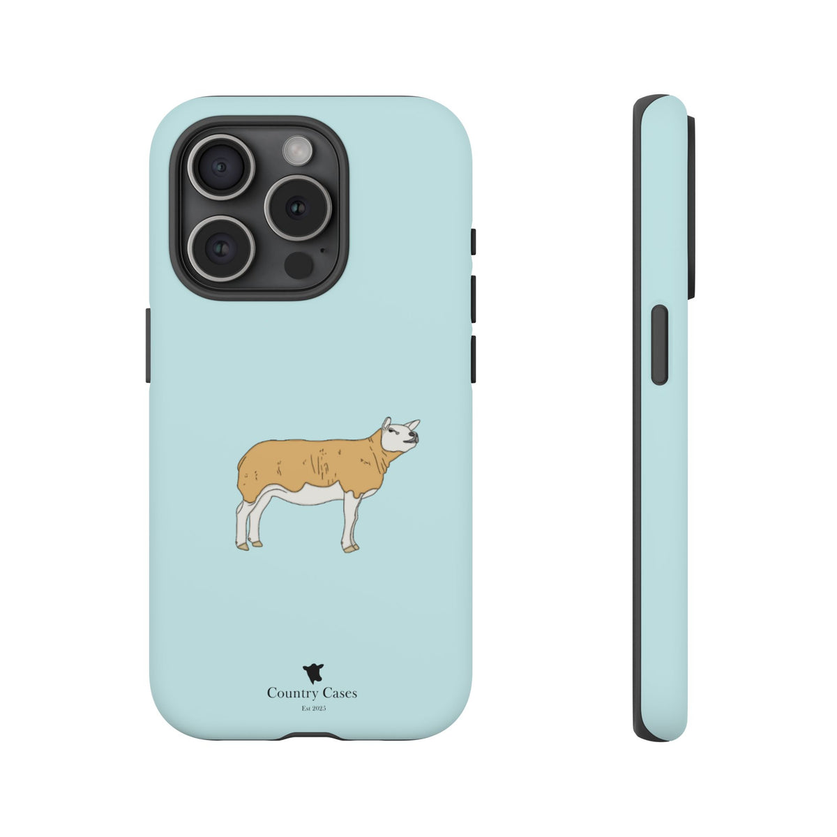 Texal Case
