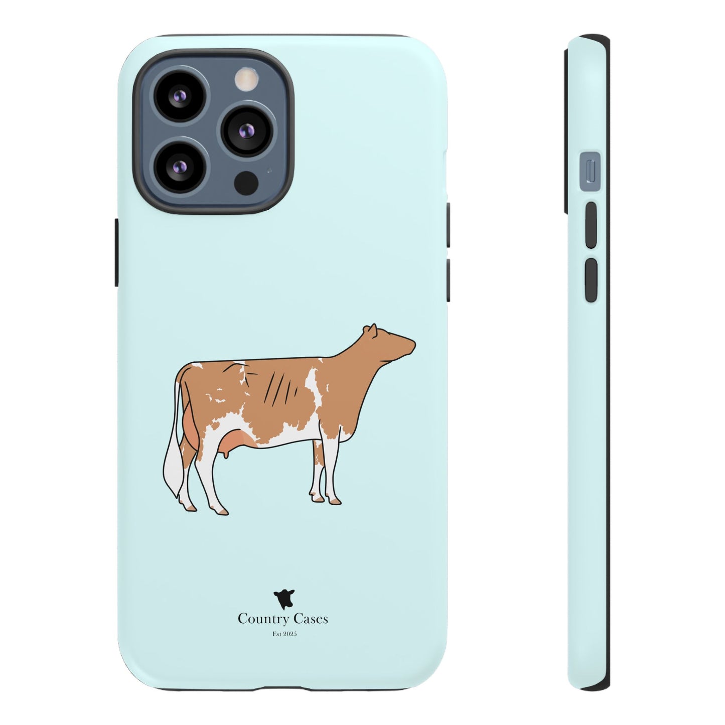 Gurnsey case