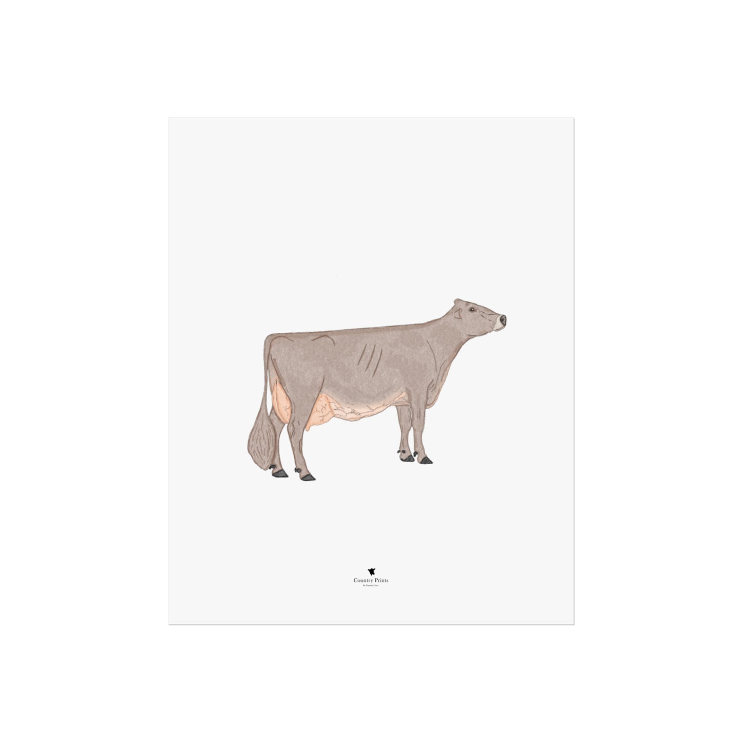 Brown Swiss art print