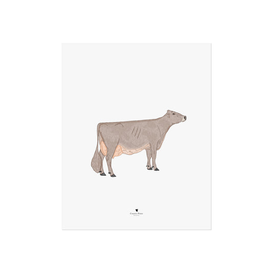 Brown Swiss art print