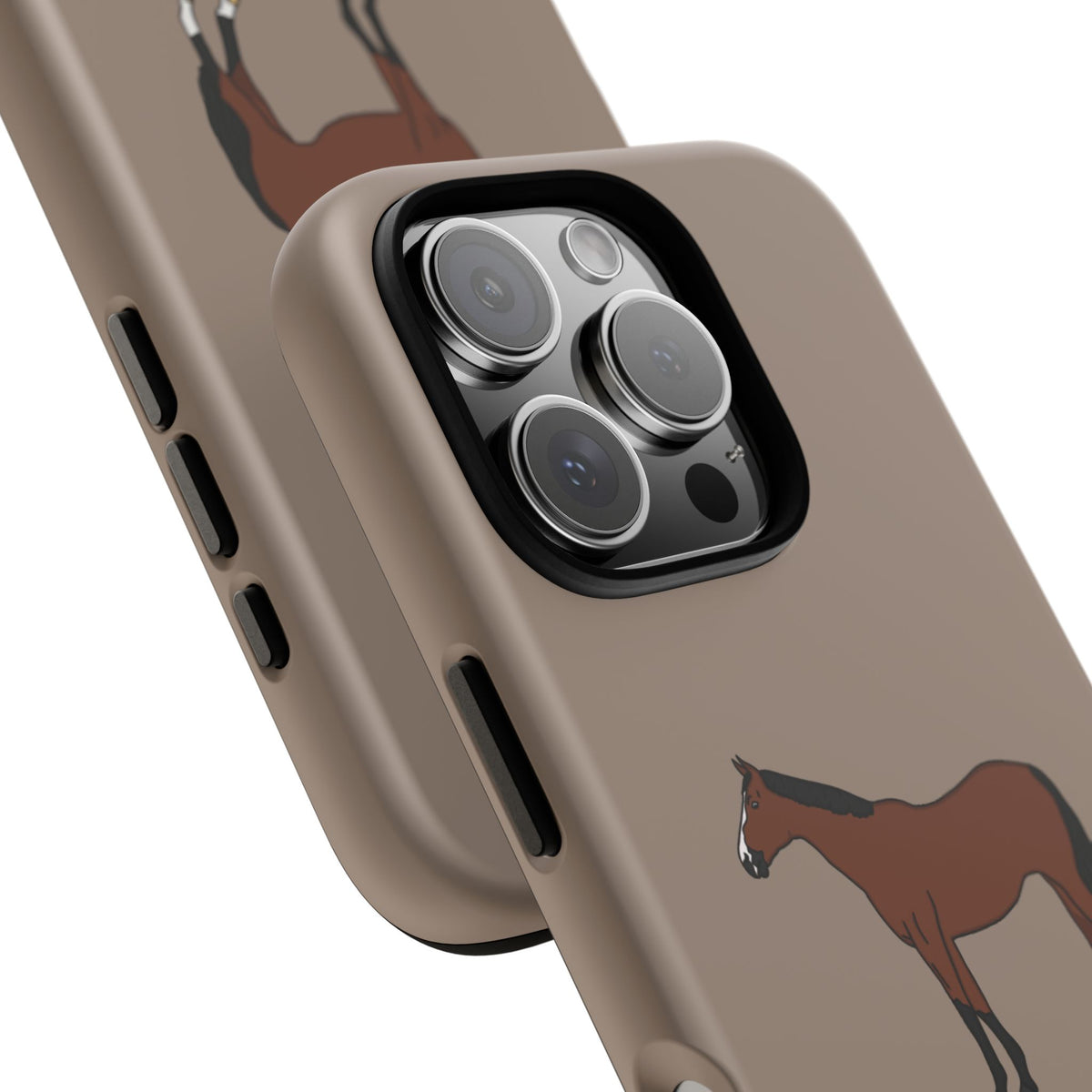 Bay Horse Case