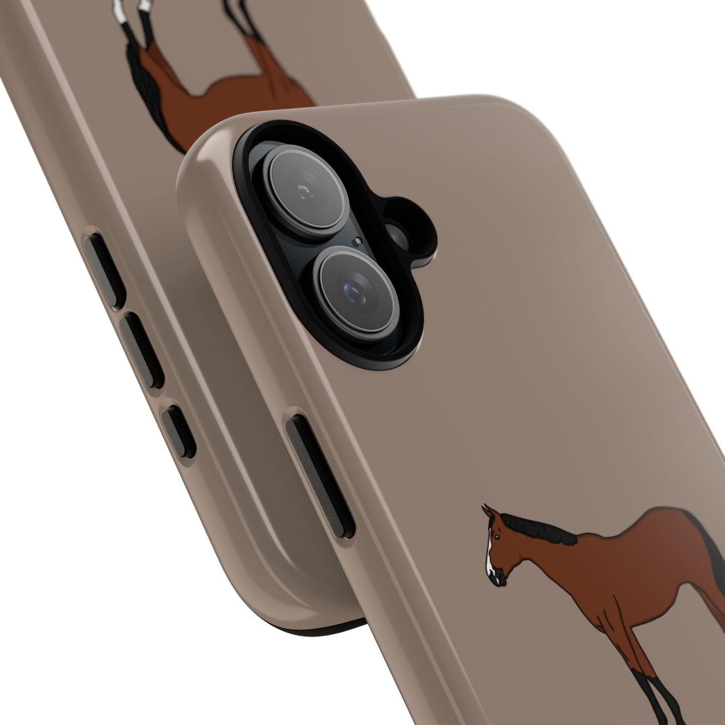 Bay horse case