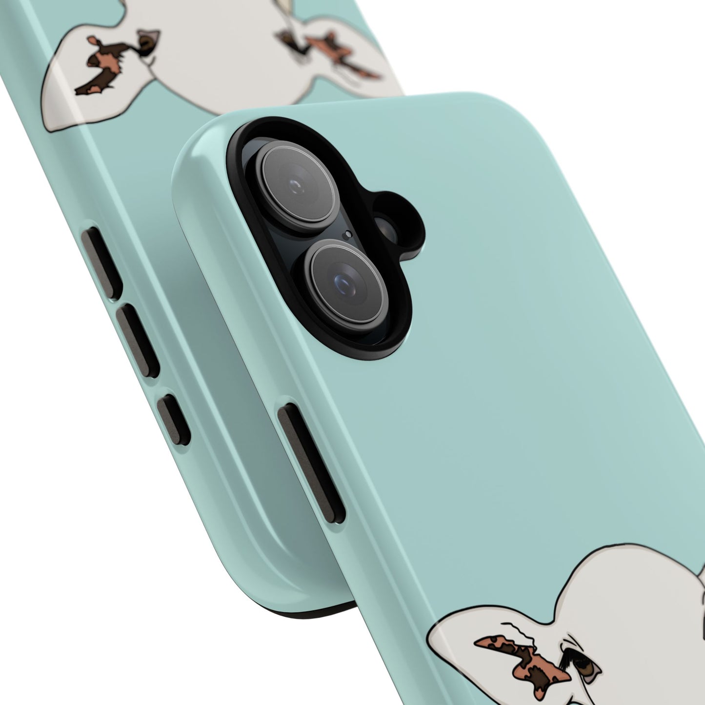 Silly sheep case