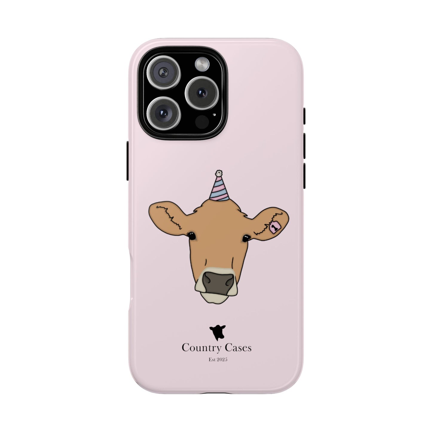 Pink Birthday Case