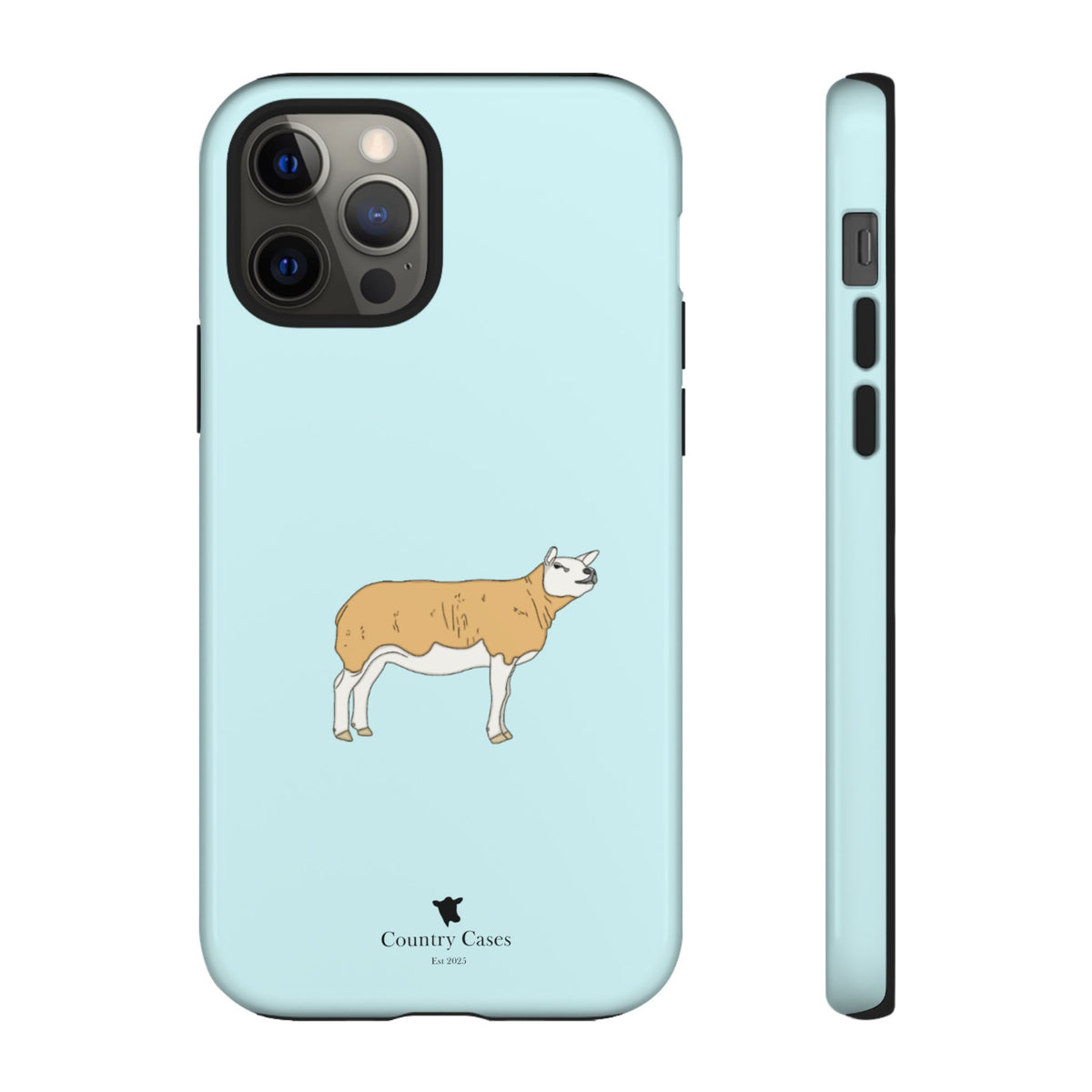 Texal Case