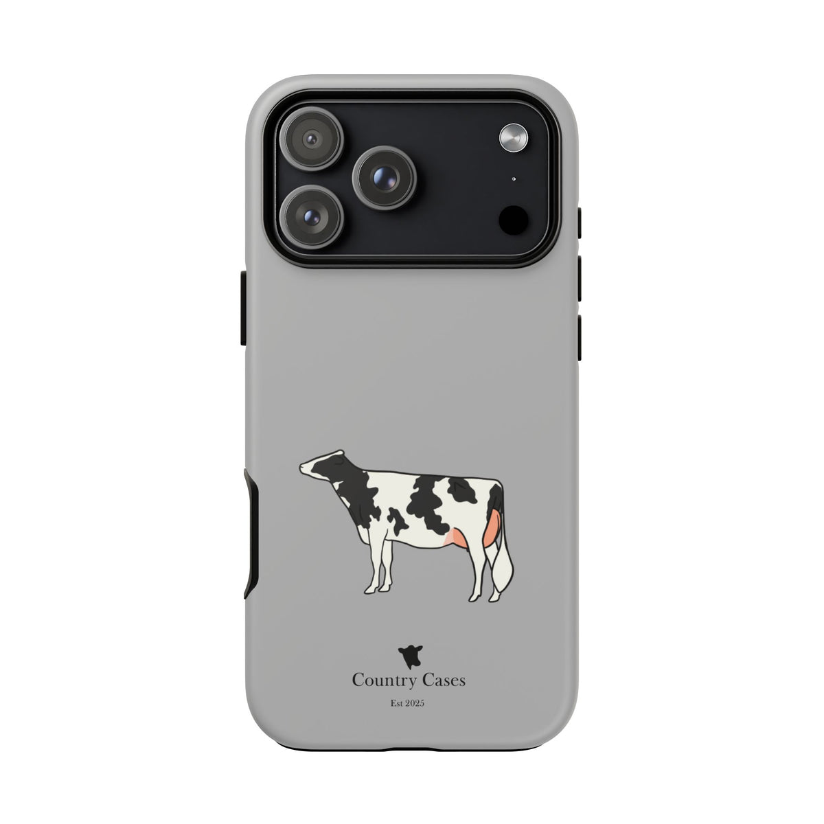 Black Holstein Case