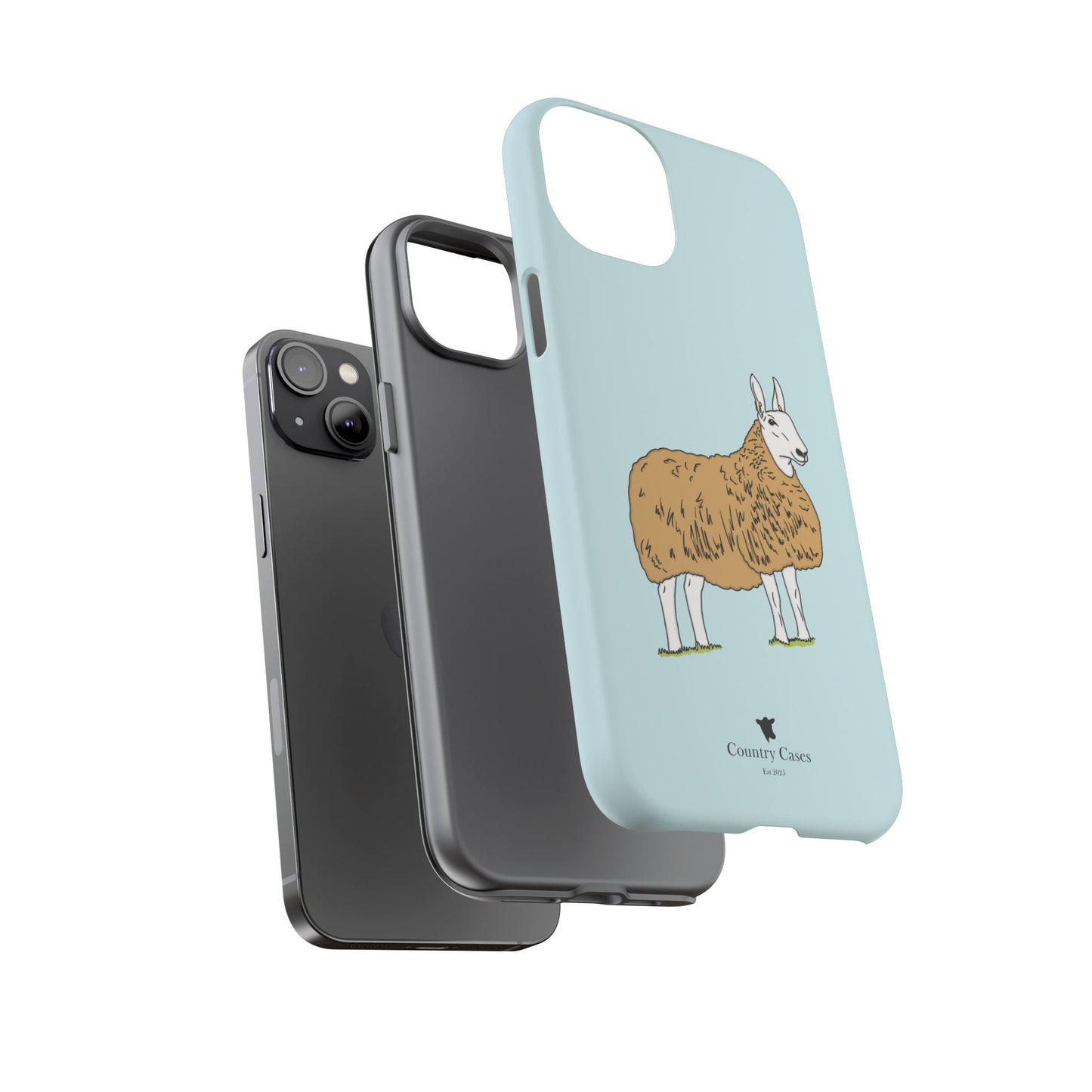 Border Leicester case