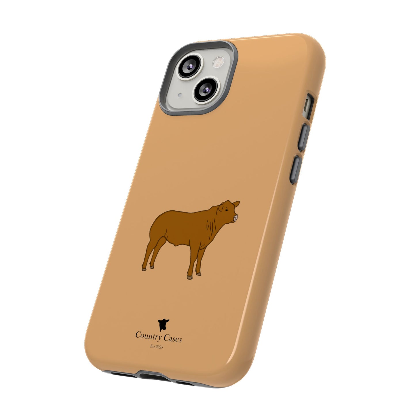 Beef Cow Case