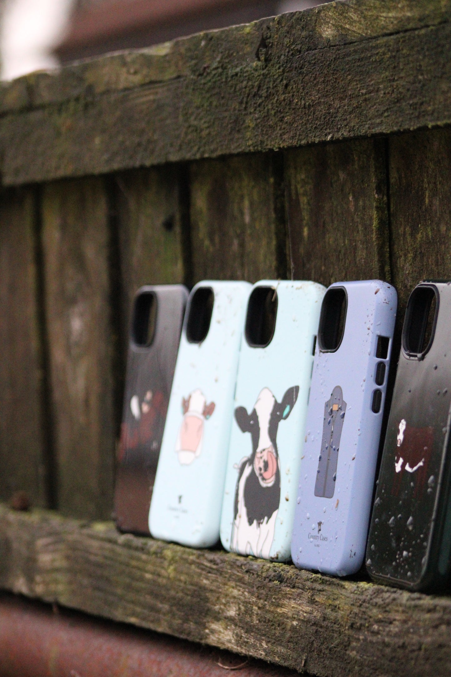 Android moo cow case