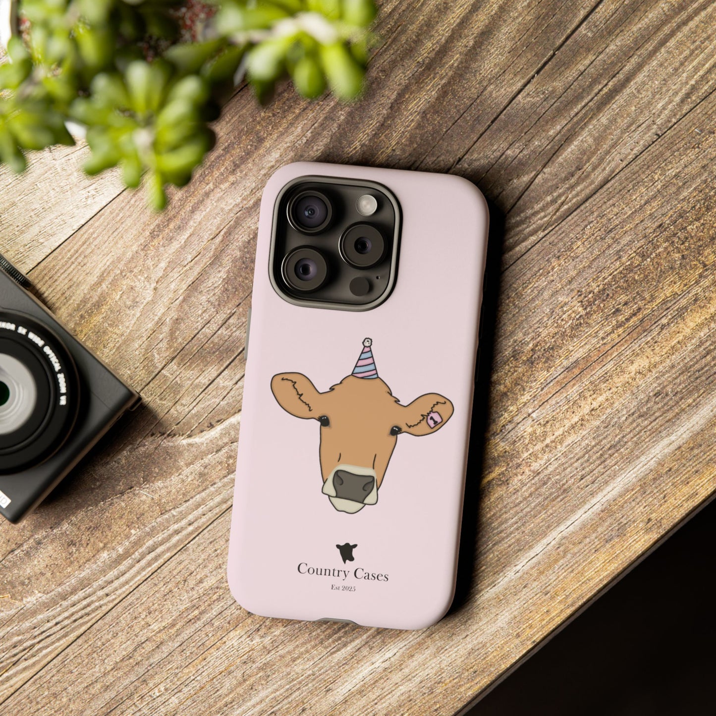 Pink Birthday Case