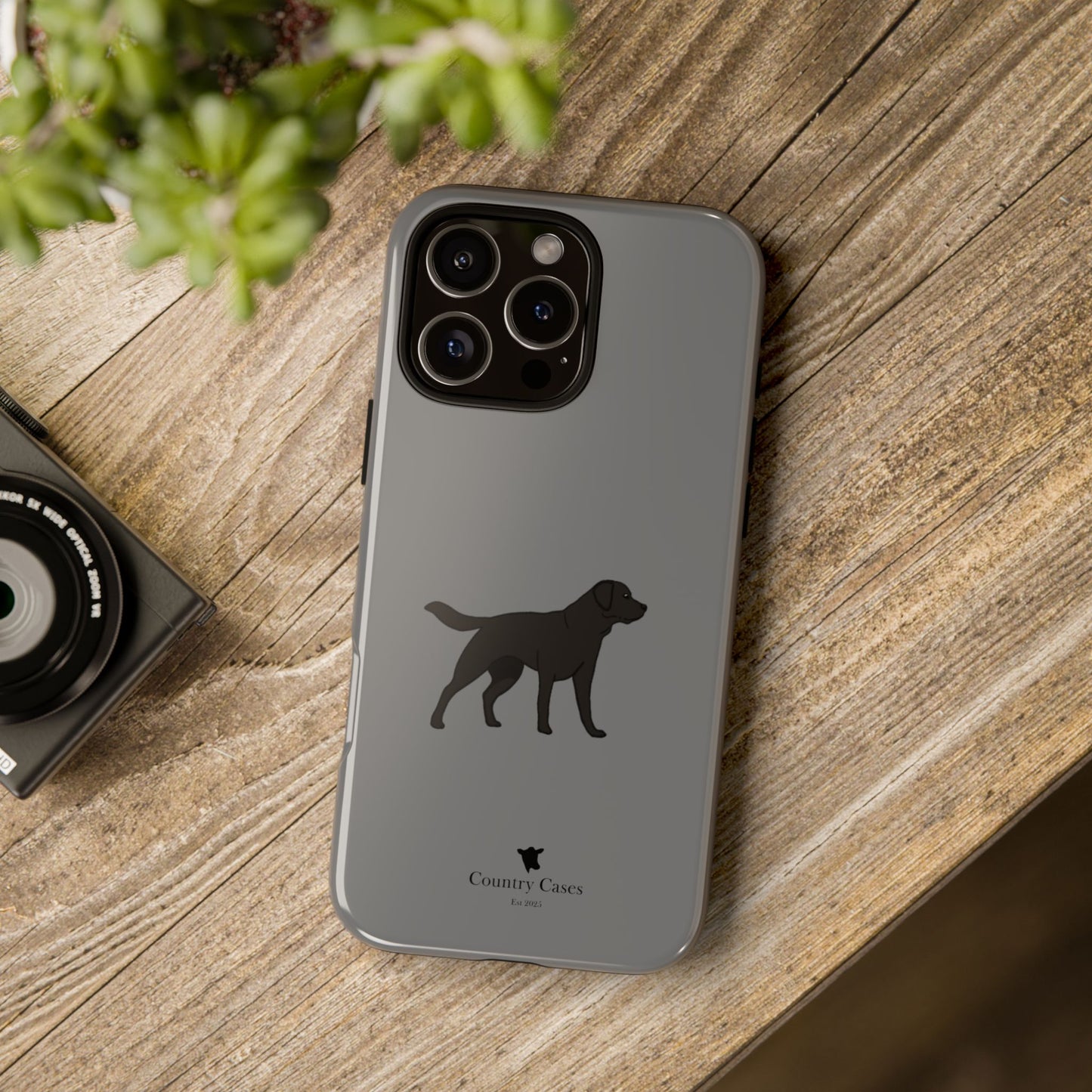 Black Labrador case