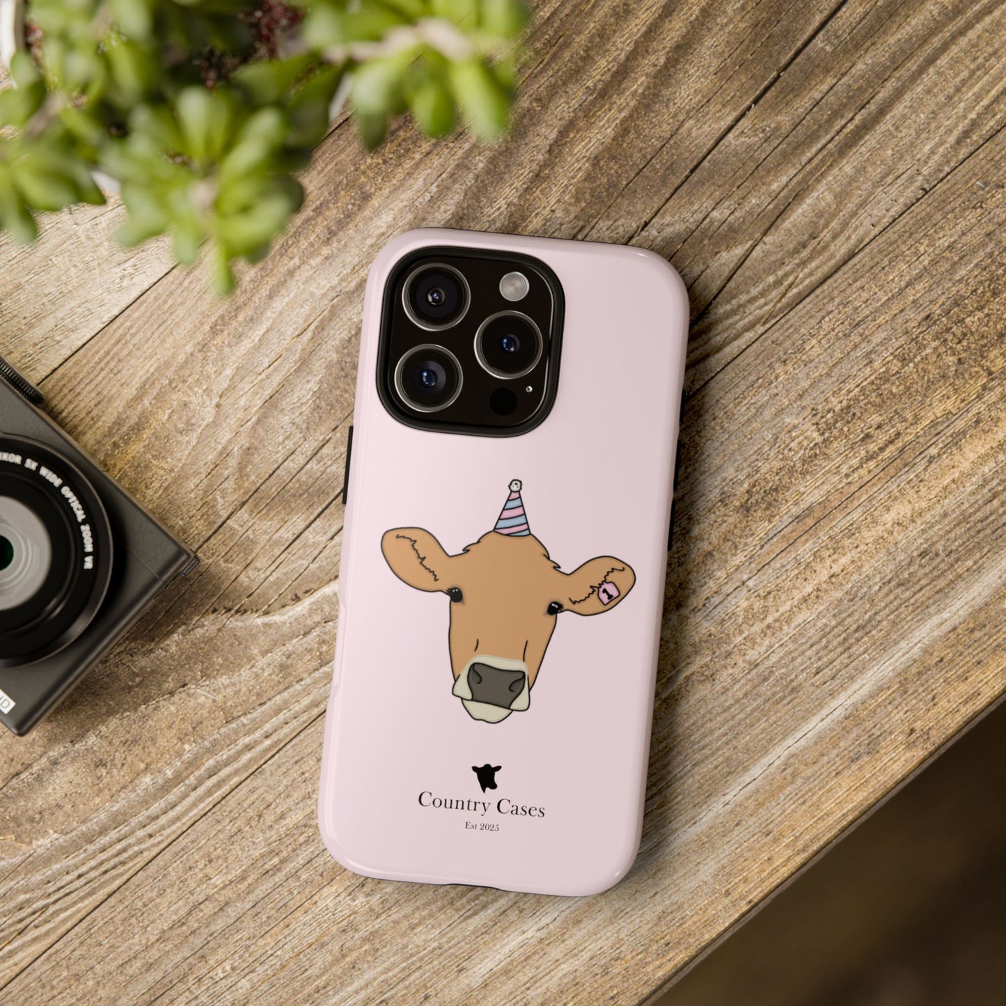 Pink Birthday Case