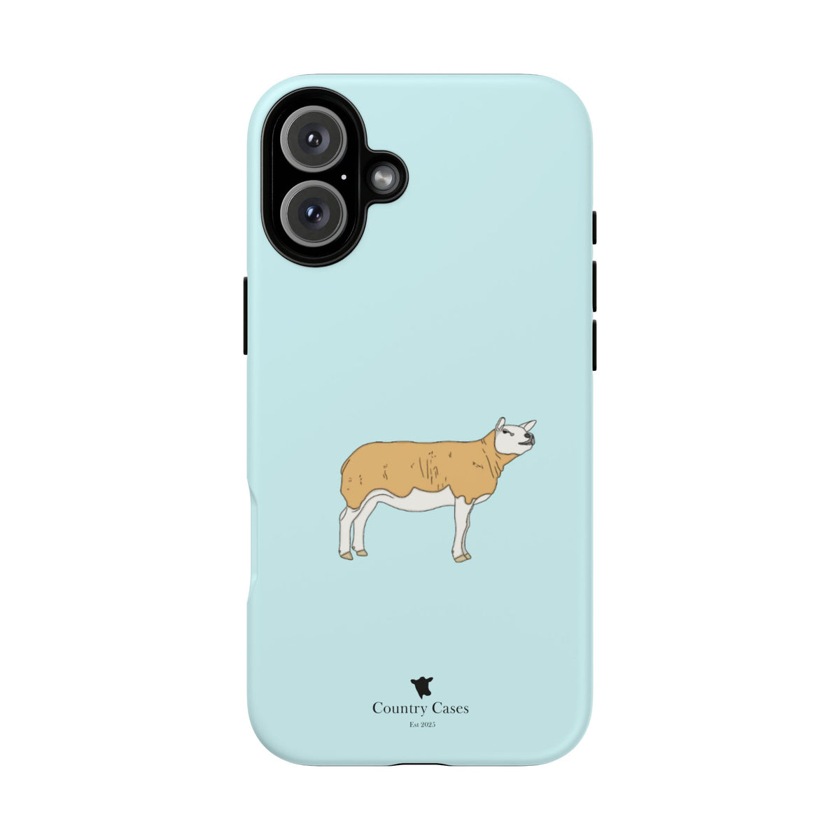 Texal Case