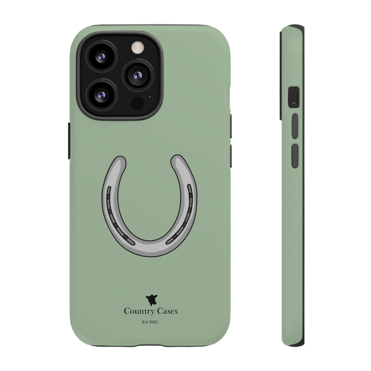 Horse Shoe Case