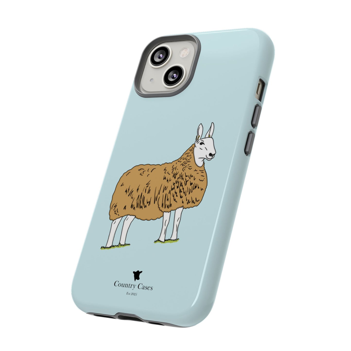 Border Leicester case