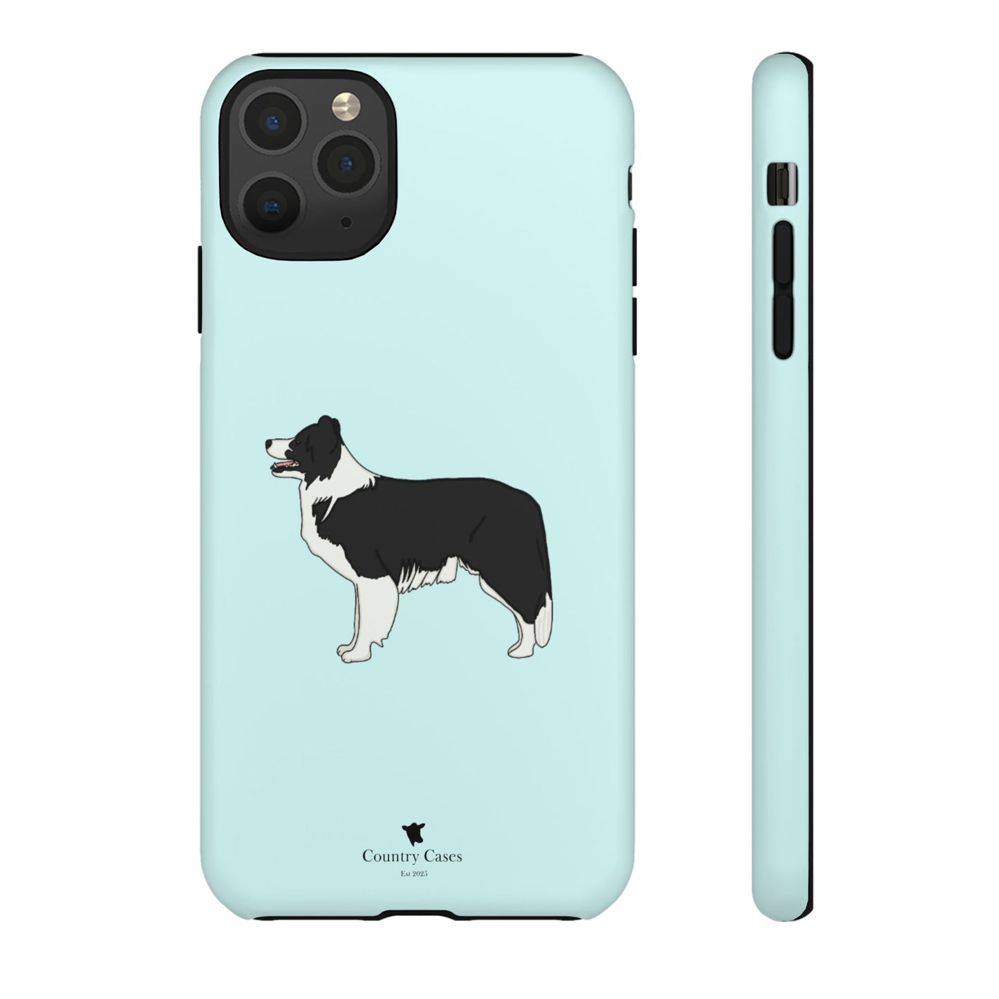Collie case