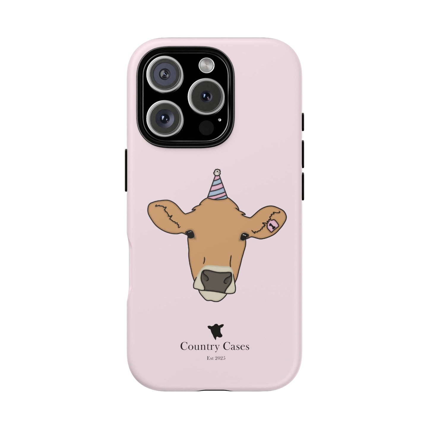 Pink Birthday Case