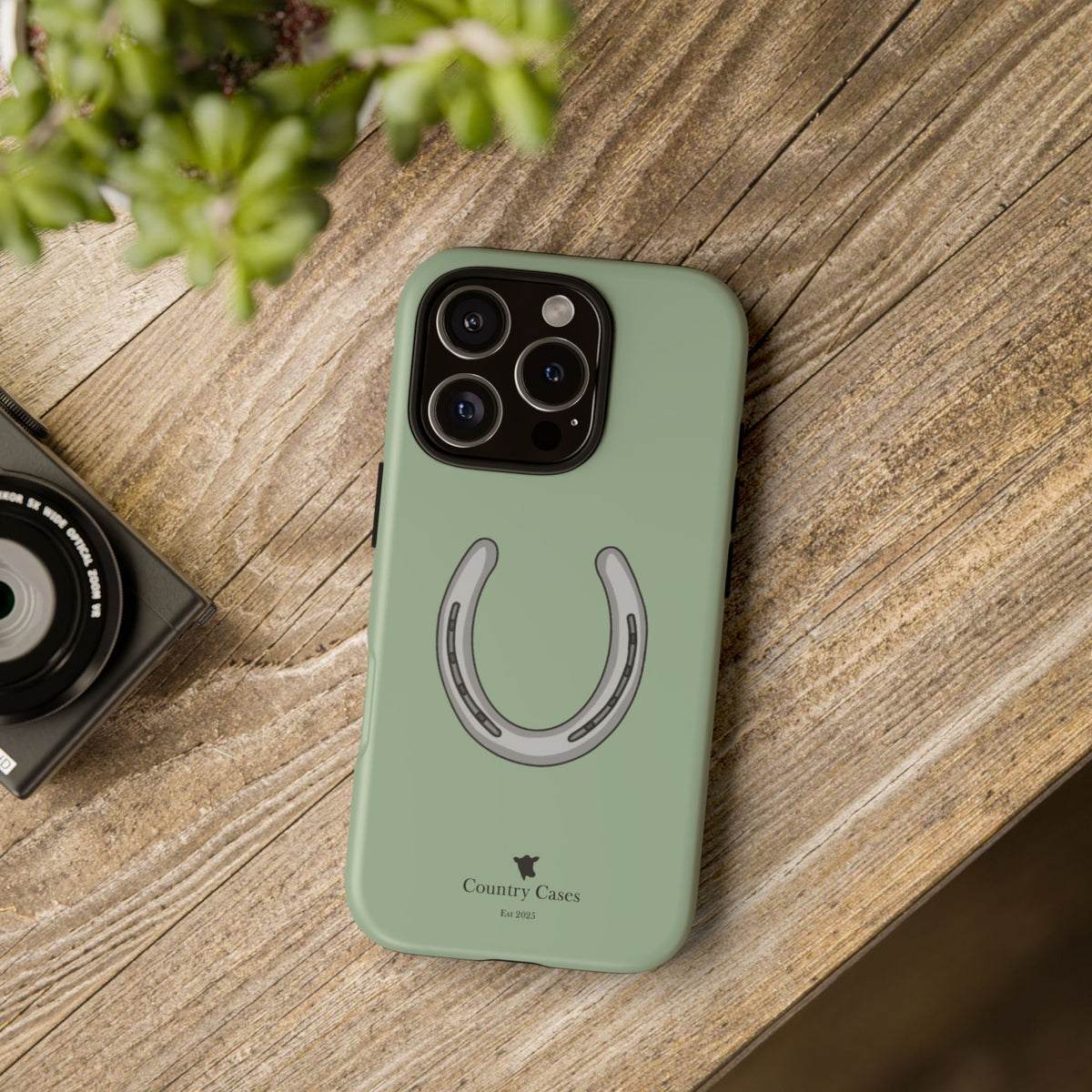 Horse Shoe Case
