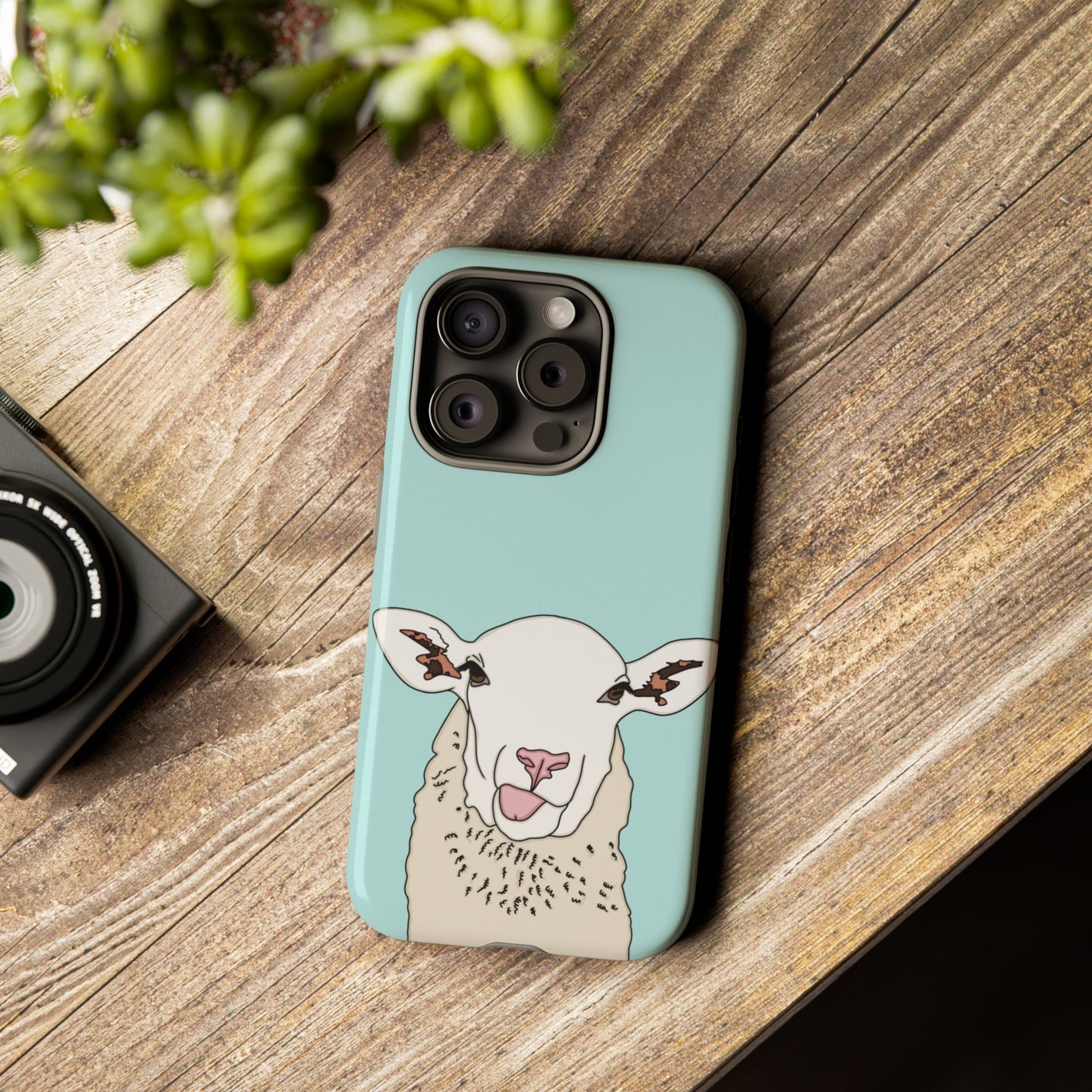Silly sheep case