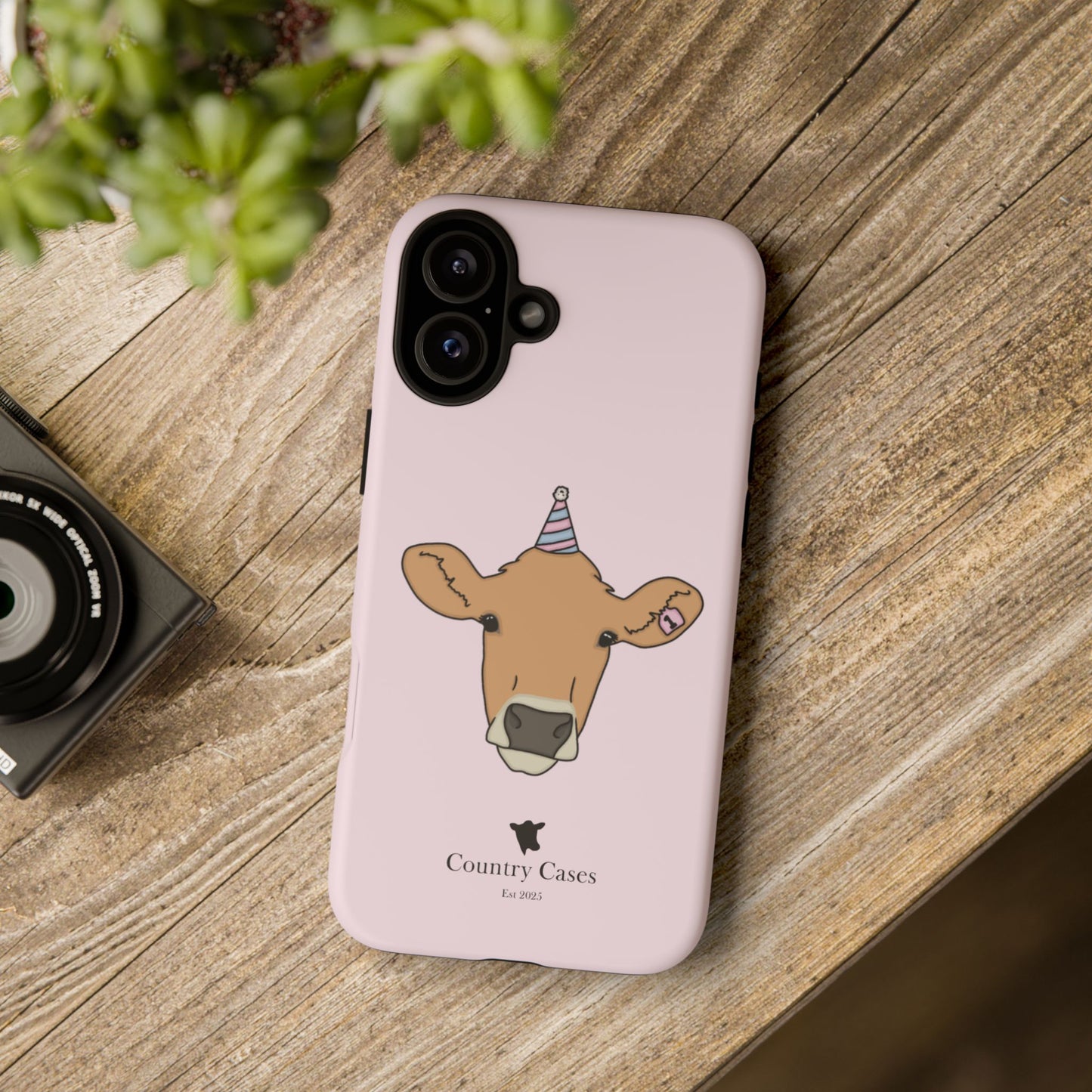 Pink Birthday Case
