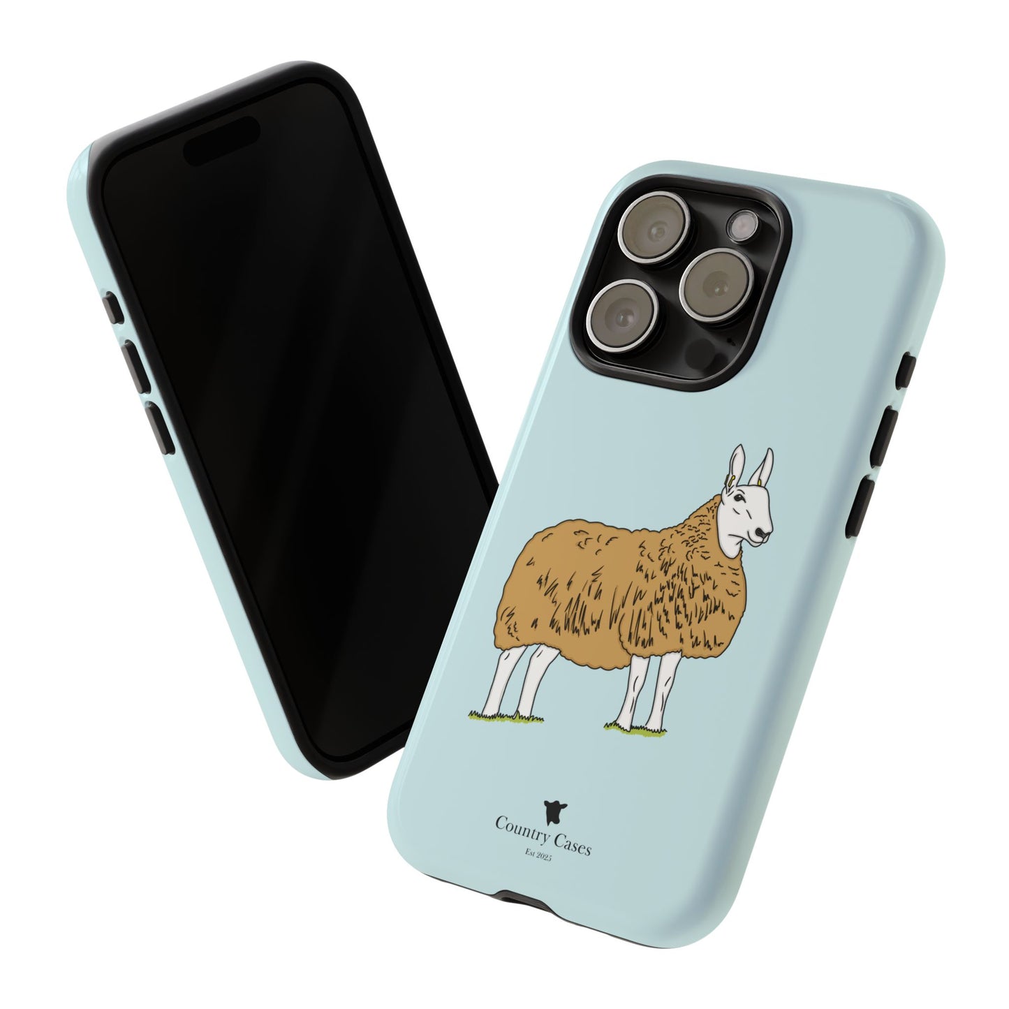 Border Leicester case