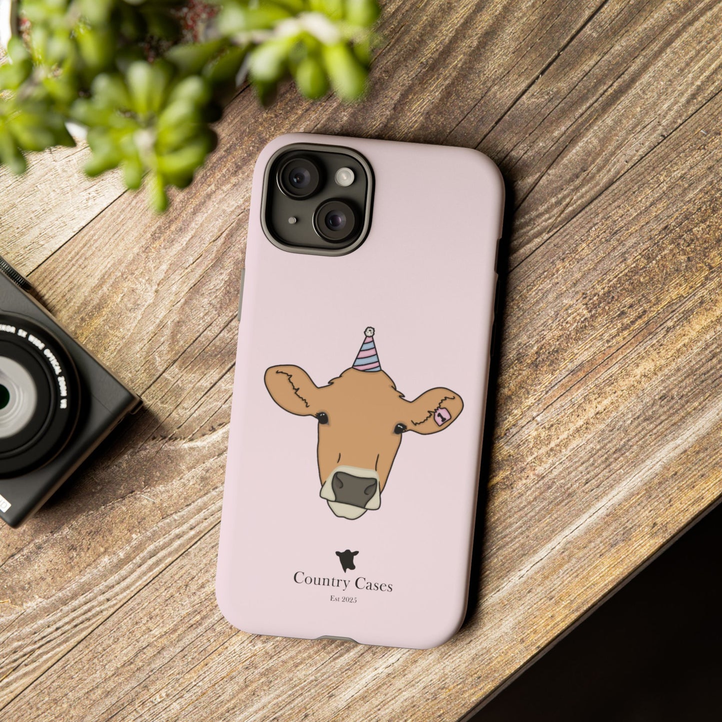Pink Birthday Case