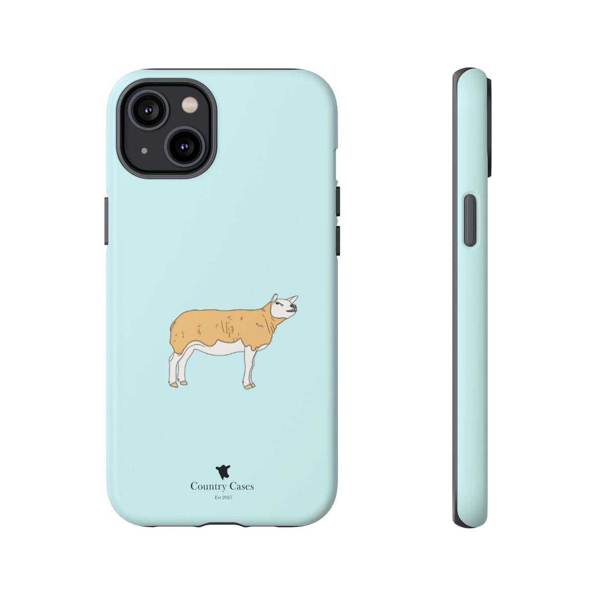 Texal Case