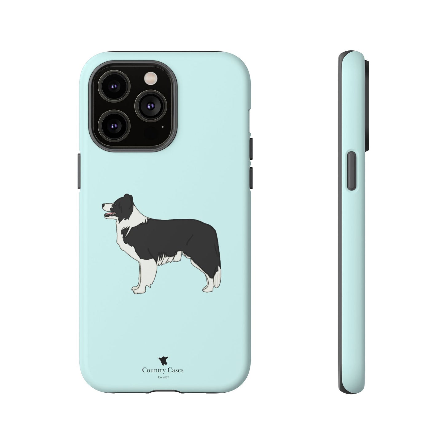 Collie case