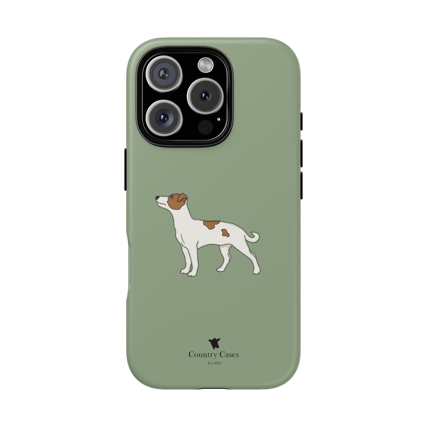 Jack Russell terrier case