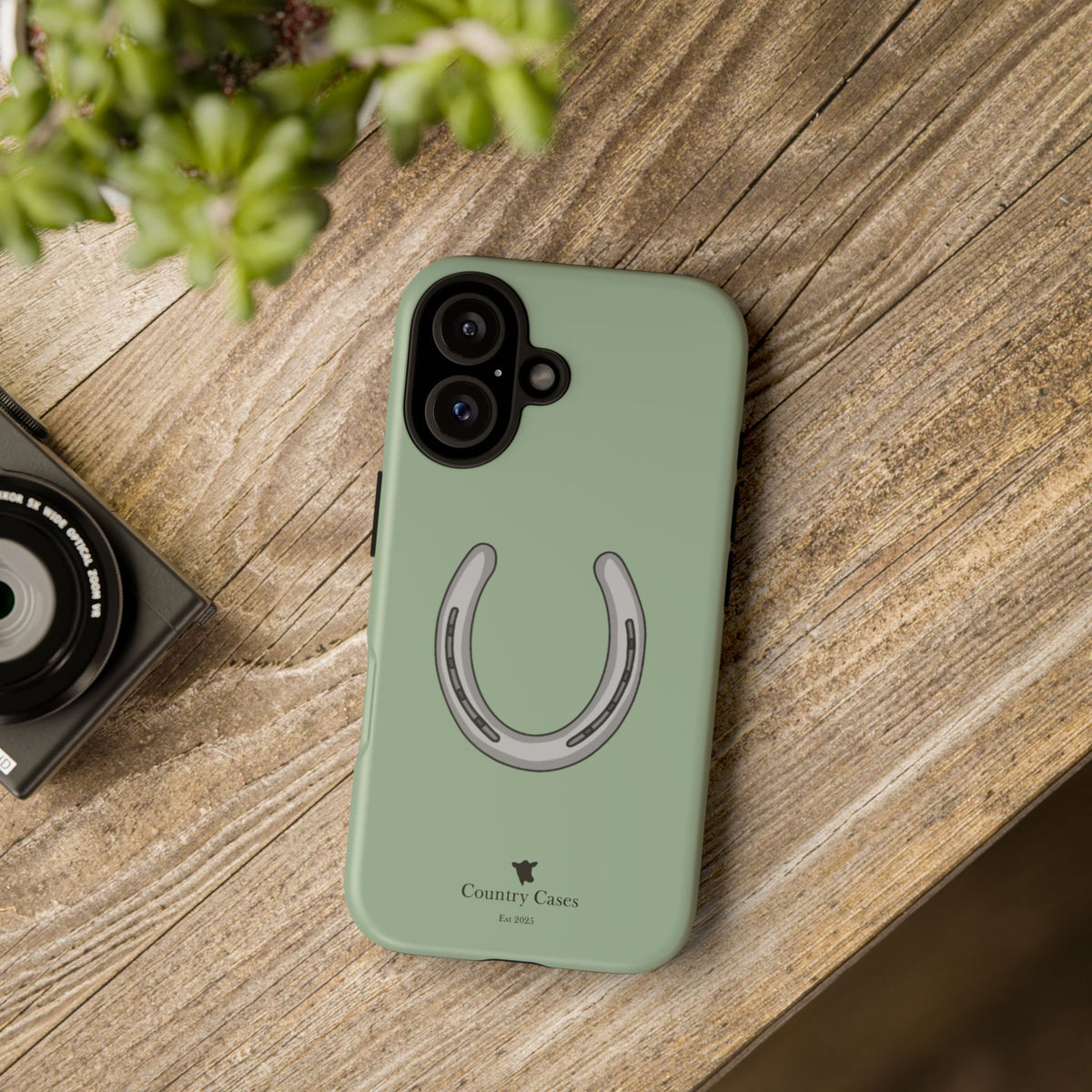 Horse Shoe Case