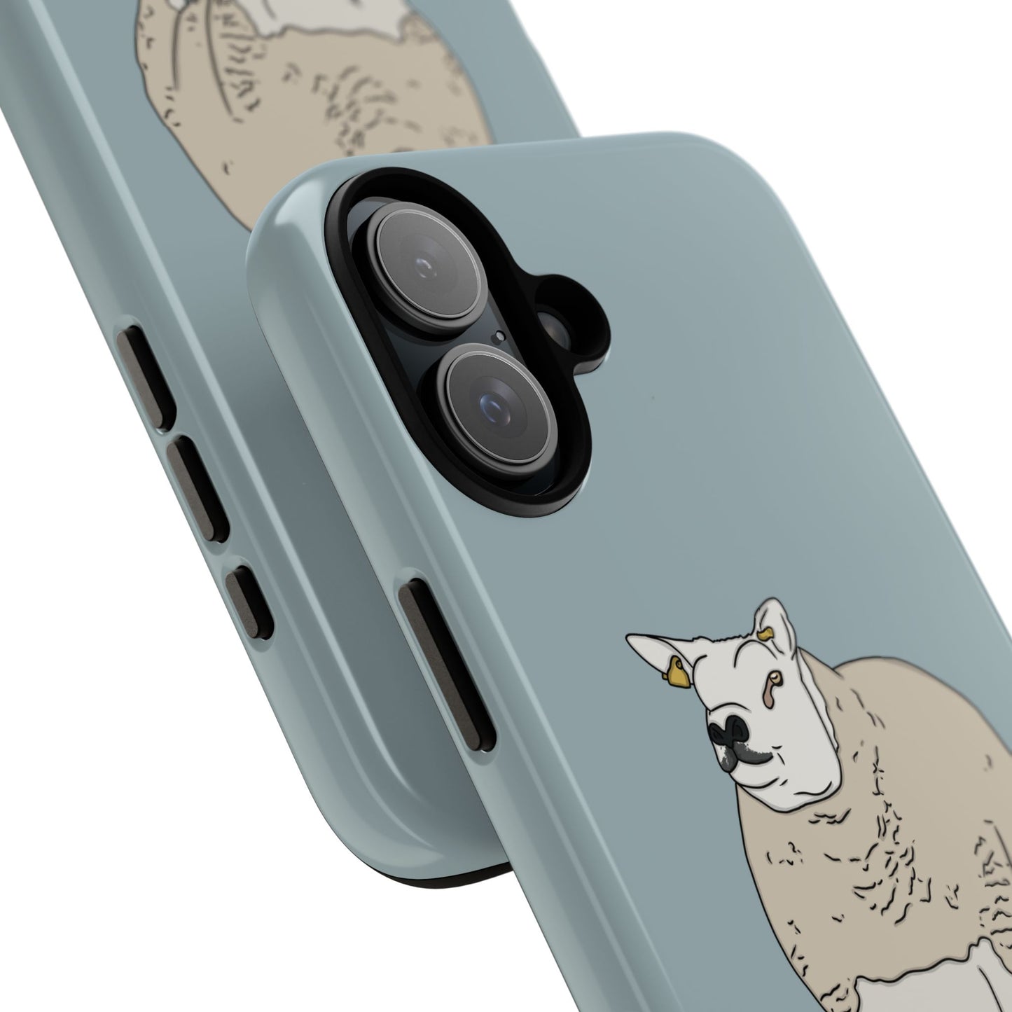 Shepherd Beltex Case