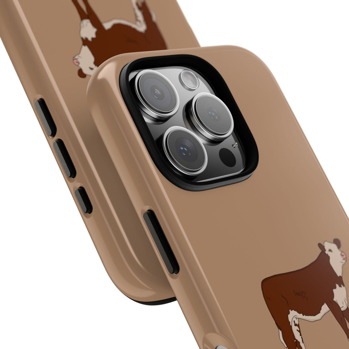Hereford Case