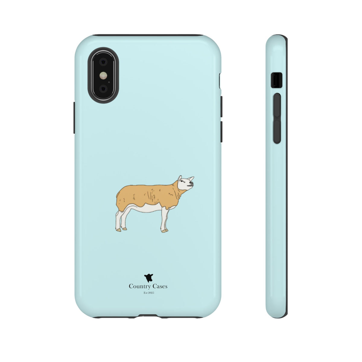 Texal Case