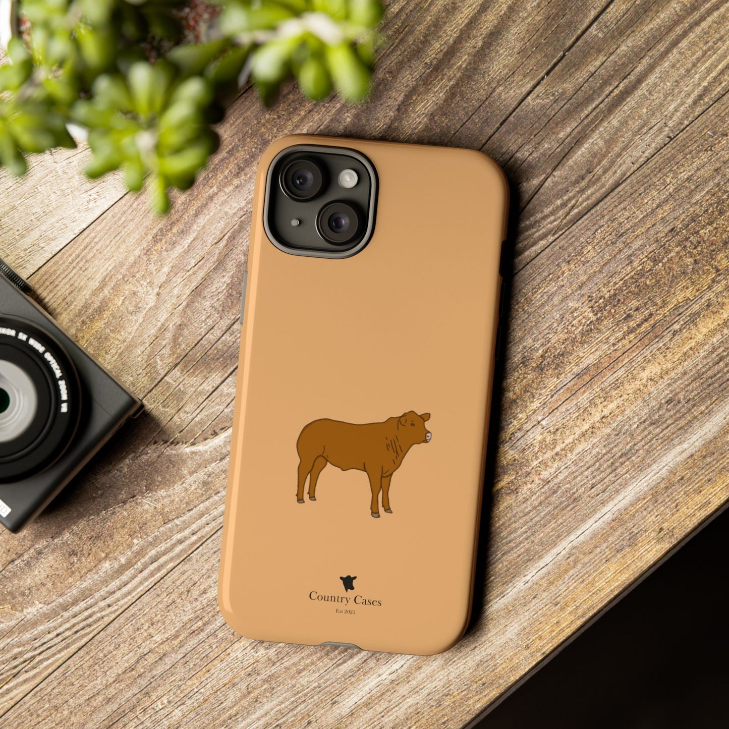 Beef Cow Case