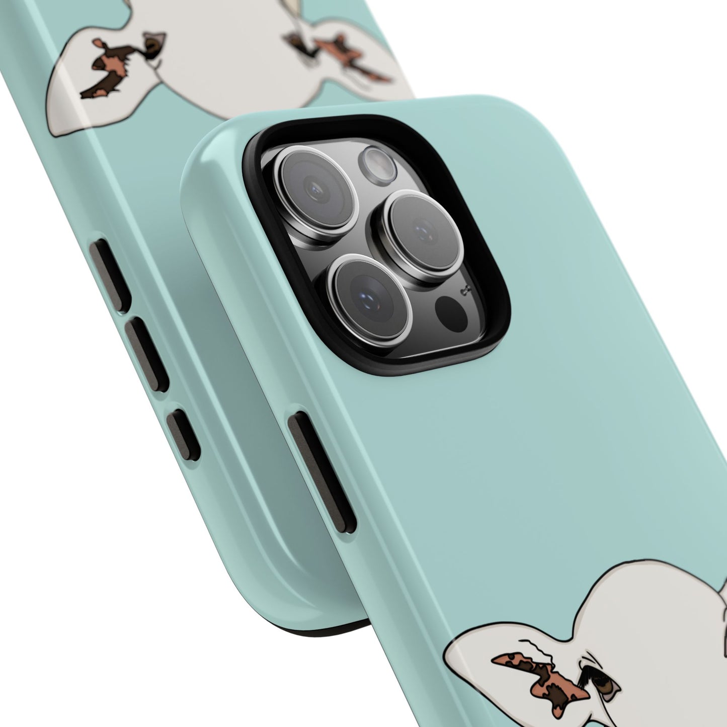 Silly sheep case