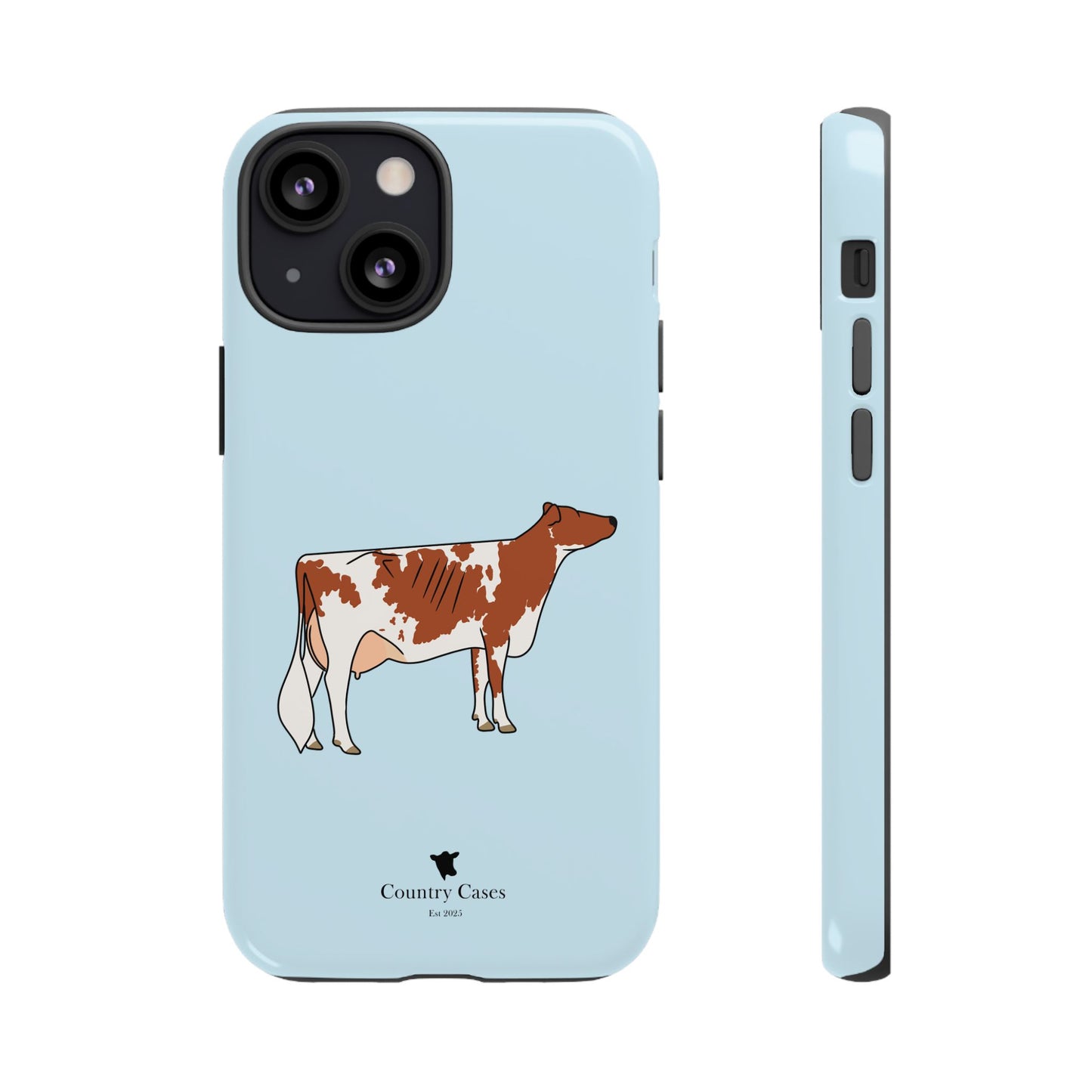 Ayrshire Case